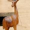 Biche 